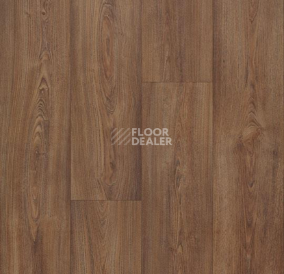 Линолеум Forbo Eternal Wood 10342 dark chestnut фото 1 | FLOORDEALER